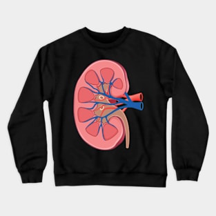 human Kidney anatomy Crewneck Sweatshirt